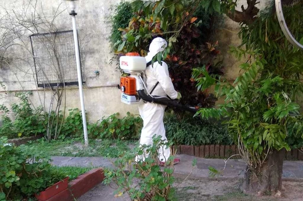 "El dengue vino para quedarse"
