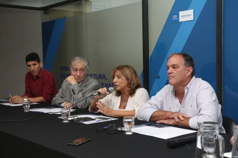 Se presentaron cinco empresas para llevar adelante la obra