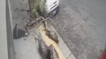 Aunque la ciudadana herida se encuentra estable