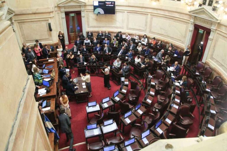 La norma fue promulgada 20 días después de su sanción en el Senado. Archivo.