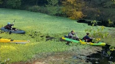 La Remada por el Perucho es una actividad que busca la limpieza y el reconocimiento del arroyo. Los participantes aprovechan el recorrido para conocer los entornos naturales del departamento Colón.