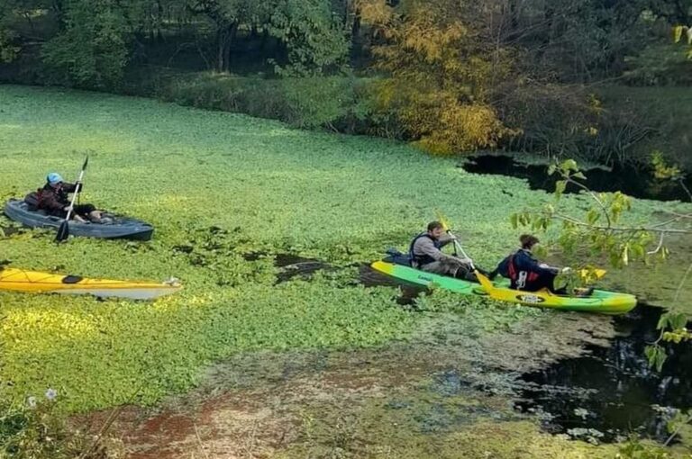 La Remada por el Perucho es una actividad que busca la limpieza y el reconocimiento del arroyo. Los participantes aprovechan el recorrido para conocer los entornos naturales del departamento Colón.