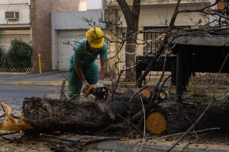 Gentileza: prensa Municipalidad de Rosario.