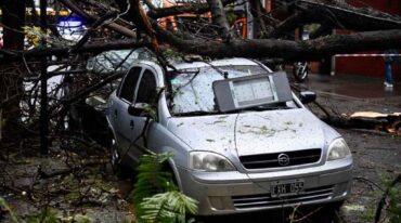 La lluvia intensa provocó la caída de un árbol en la cuadra de 3 de Febrero entre Buenos Aires y Laprida. Marcelo Manera.