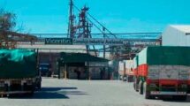 Los trabajadores desempeñan sus labores en el Complejo Complejo Vicentin Avellaneda. Archivo.