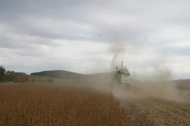 Gentileza Télam / Pablo Añeli