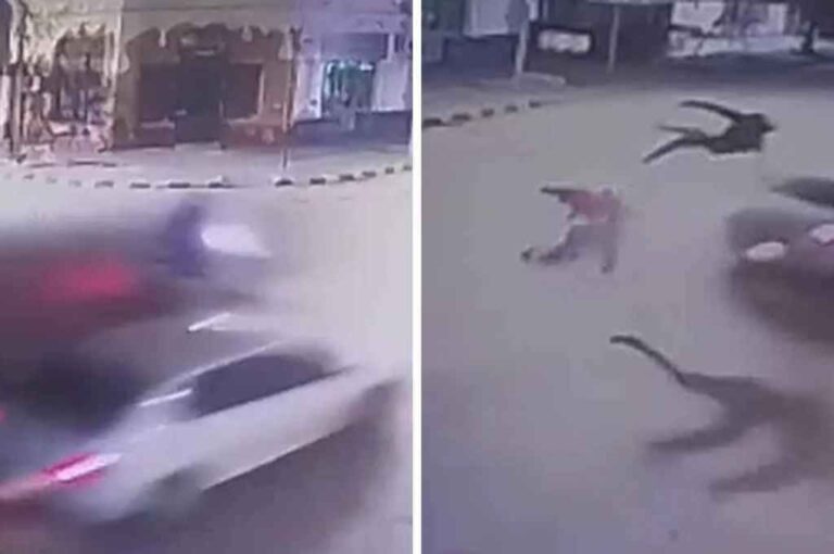 Imágenes del impactante choque en San Justo. Captura digital.