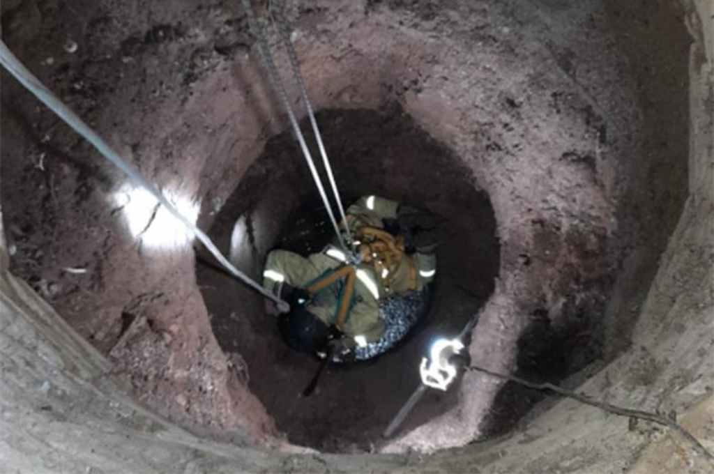 El animal fue rescatado después de horas de trabajo. Gentileza.
