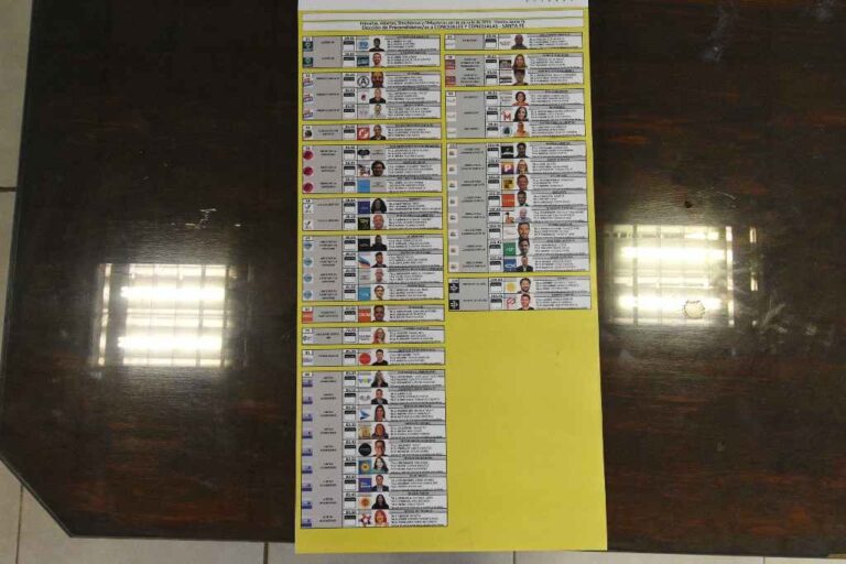 Cada elector se encontrará con esta boleta para el cargo de concejales de la ciudad de Santa Fe. Pablo Aguirre.