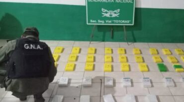 Un perro que pertenece a Gendarmería detectó algo sospechoso en la carrocería de un Citroën Air Cross que circulaba desde la ciudad salteña de Orán y tenía como destino final la localidad de Villa Celina (Buenos Aires). gentileza