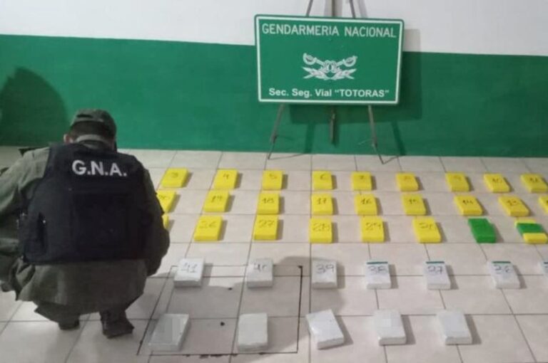 Un perro que pertenece a Gendarmería detectó algo sospechoso en la carrocería de un Citroën Air Cross que circulaba desde la ciudad salteña de Orán y tenía como destino final la localidad de Villa Celina (Buenos Aires). gentileza