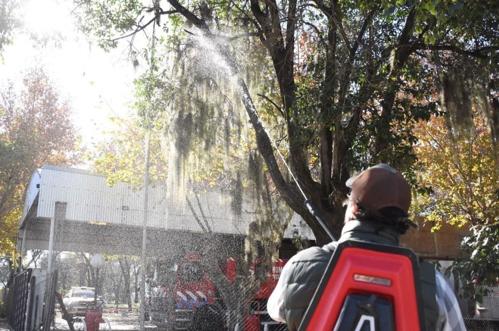 Esta jornada durará cuatro meses y contempla siete zonas de la ciudad de Funes. Gentileza