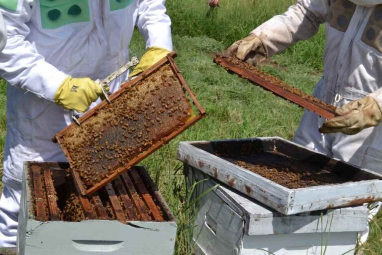 Gentileza: prensa Gobierno de Santa Fe.