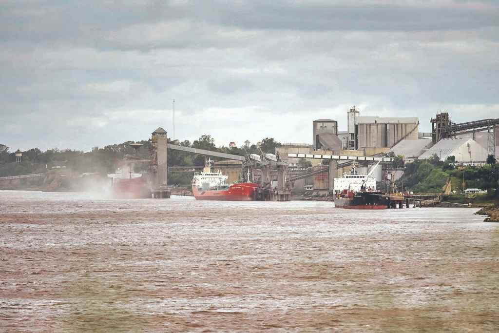 Fuerte impacto. Los indicadores en torno a la histórica sequía que aún azota a parte de la provincia de Santa Fe muestran las graves consecuencias que generó en la producción. Archivo/Marcelo Manera.