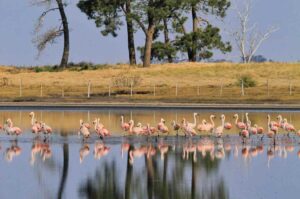 Con la llegada del invierno
