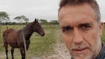 El establecimiento está en Los Amores