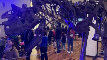 La exhibición está armada en tres momentos