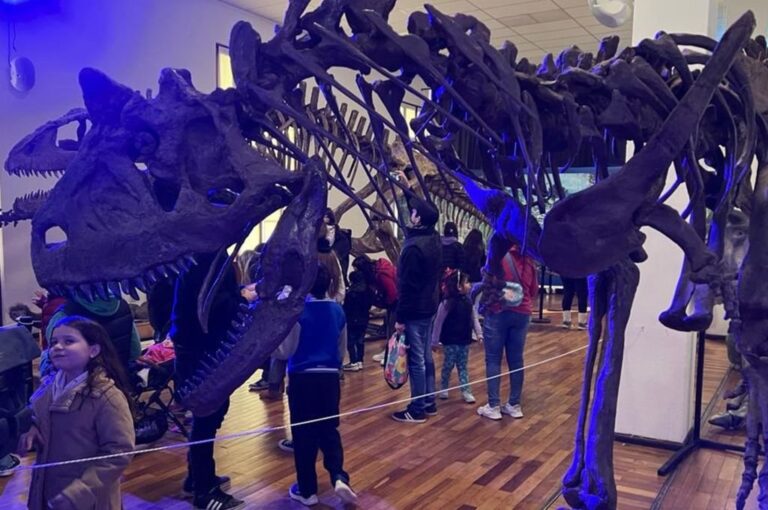 La exhibición está armada en tres momentos