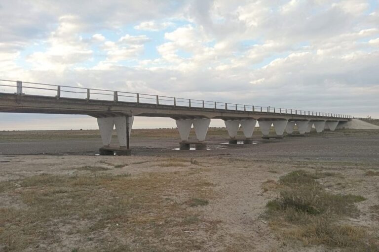 El panorama que atraviesa gran parte del norte santafesino es desolador. Mirador Provincial