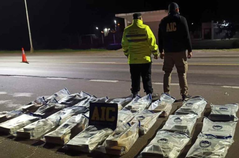 El cargamento contenía 261 kilos de marihuana. Gentileza.