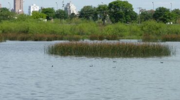 Reserva Oeste de la ciudad de Santa Fe. Gentileza