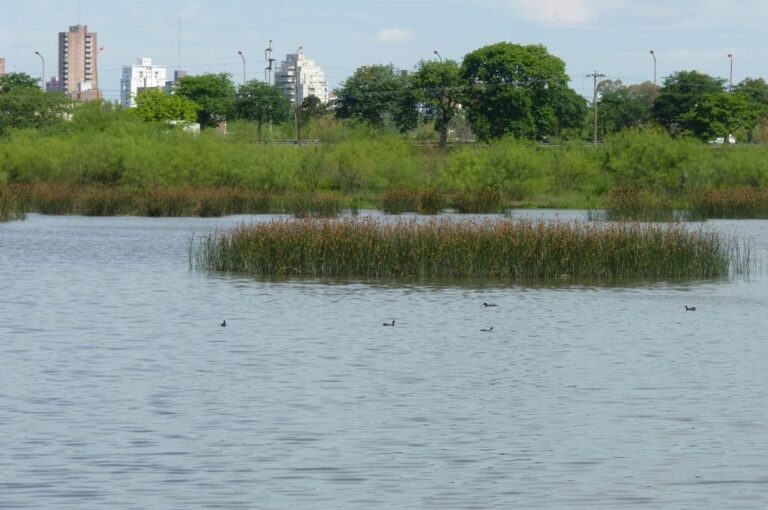 Reserva Oeste de la ciudad de Santa Fe. Gentileza