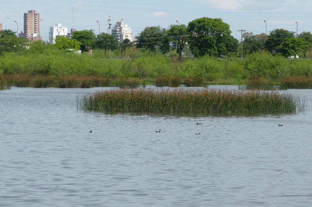 Reserva Oeste de la ciudad de Santa Fe. Gentileza