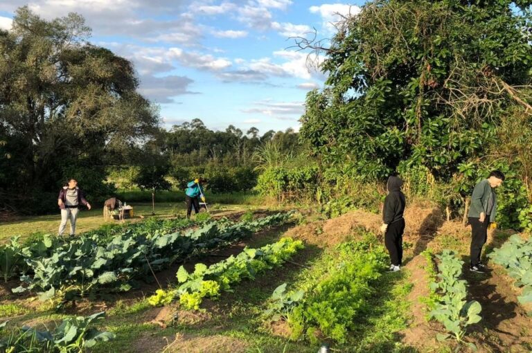 'Lo más gratificante es poder tener alimentos soberanos cada día de nuestras vidas