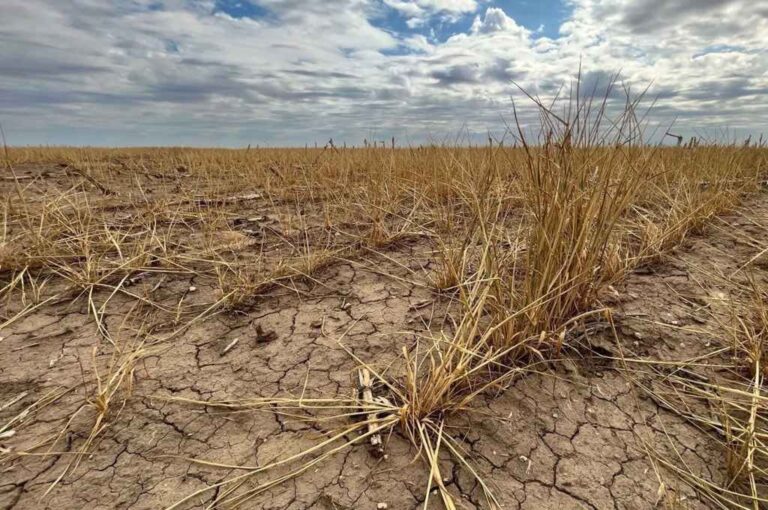 La línea de préstamos para productores se realiza a través del Nuevo Banco de Santa Fe. Archivo.