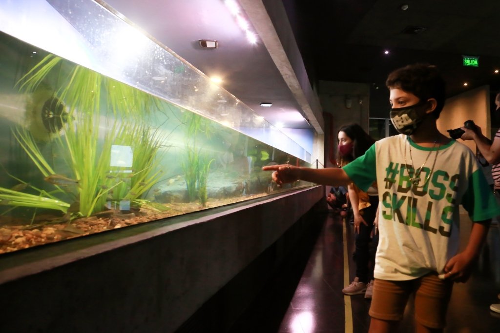 El sábado 12 se realizará la feria Infancias del Paraná en el parque del Acuario