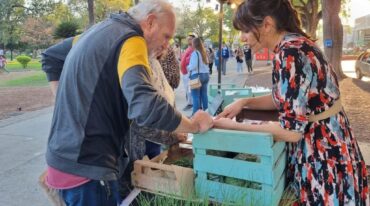 Este tipo de emprendimientos son considerados fundamentales en la lucha contra el cambio climático