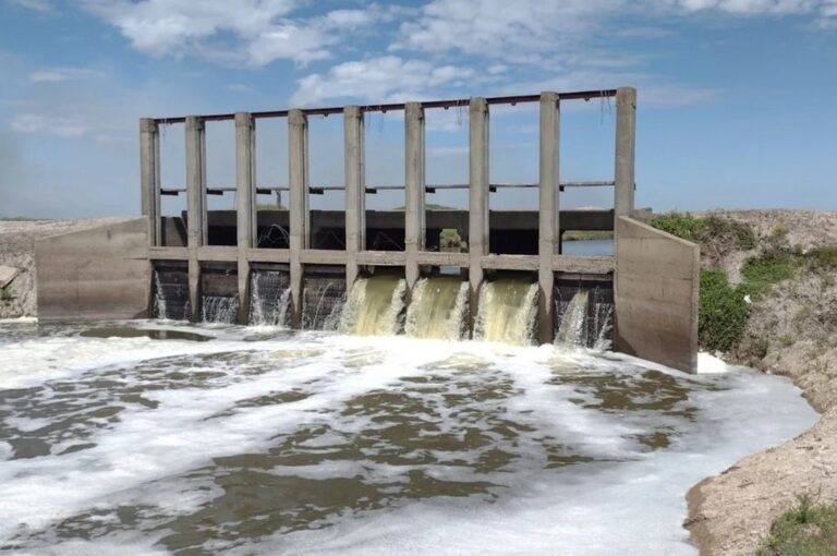 Los Bajos Submeridionales constituyen uno de los humedales de mayor importancia de la República Argentina y poseen una extensión de 8.030.000 hectáreas