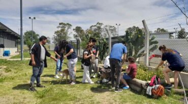Este sábado habrá recorridos grupales para conocer desde adentro el Centro de Adopción Animal Municipal (CAAM). Gentileza.