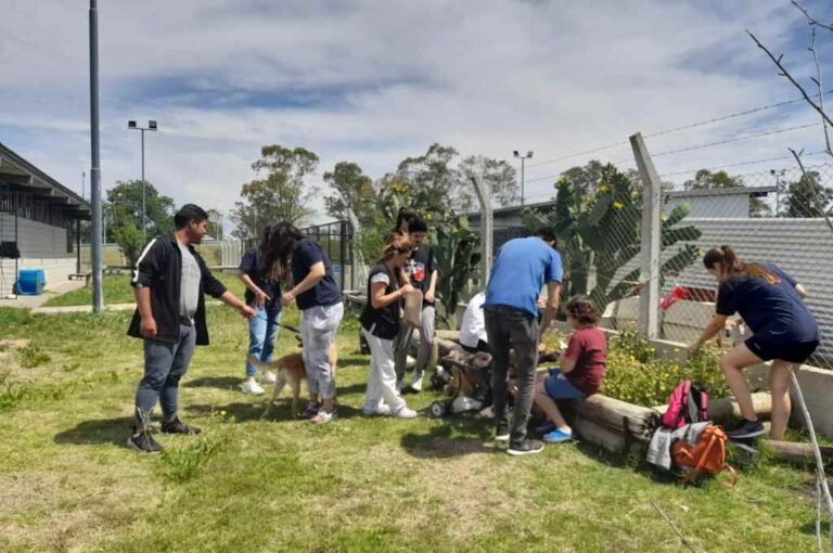 Este sábado habrá recorridos grupales para conocer desde adentro el Centro de Adopción Animal Municipal (CAAM). Gentileza.