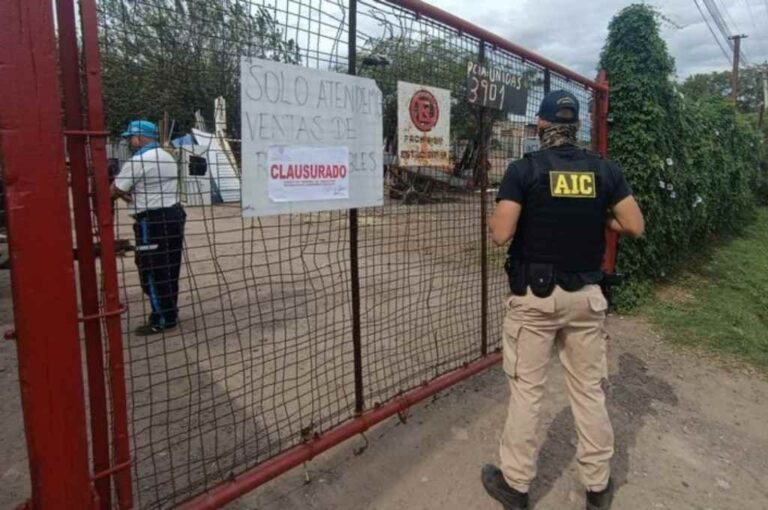 Según la ley provincial