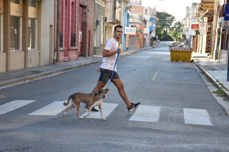 El objetivo es que los participantes lleven a sus mascotas para participar de una jornada lúdica y de concientización. archivo/Guillermo Di Salvatore