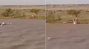 Los kayakistas habían perdido los remos. Captura de video
