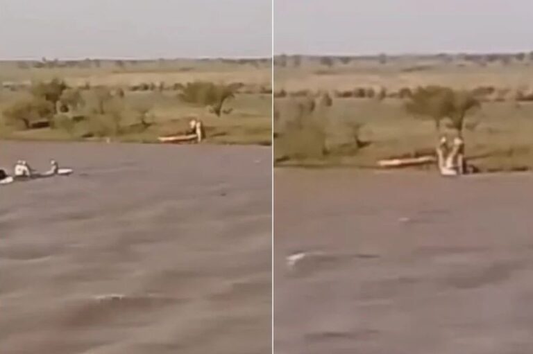 Los kayakistas habían perdido los remos. Captura de video