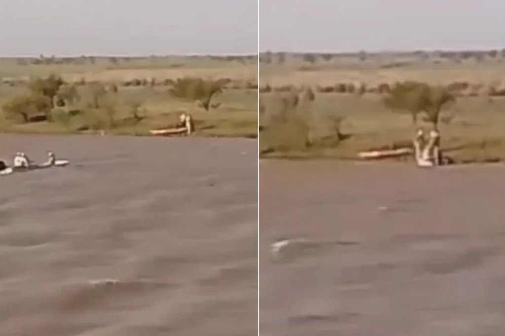 Los kayakistas habían perdido los remos. Captura de video