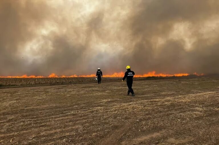 Las llamas se expandieron por la presencia de los fuertes vientos. gentileza