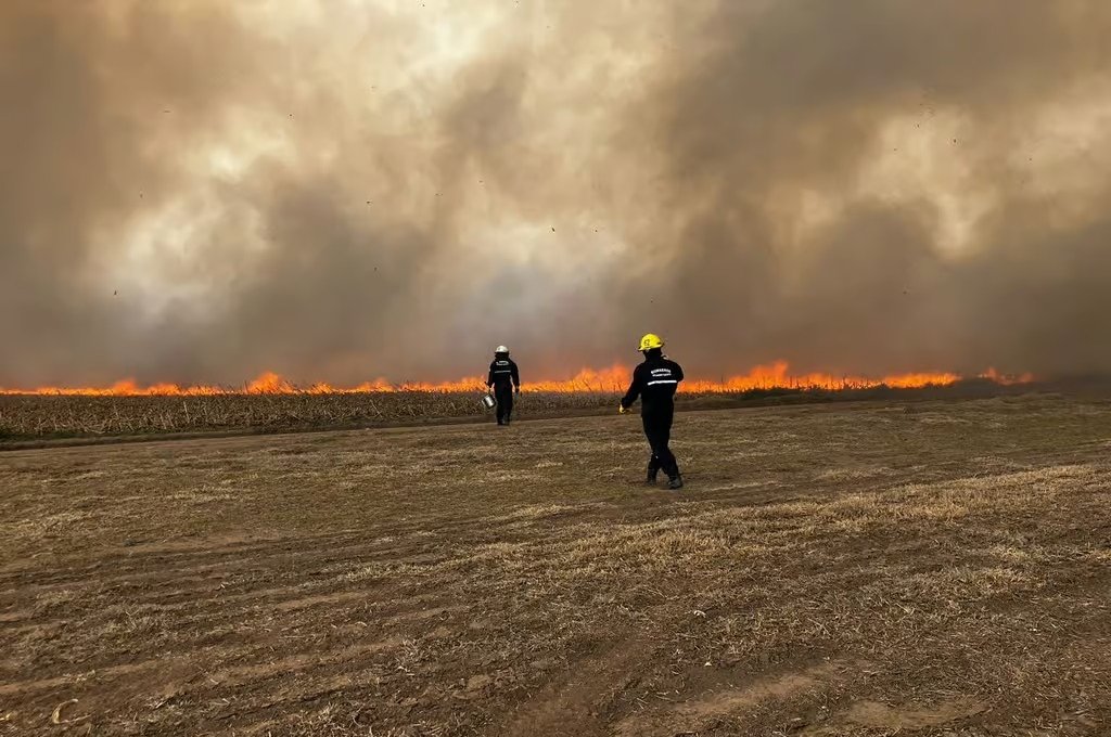 Las llamas se expandieron por la presencia de los fuertes vientos. gentileza