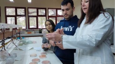 Las especies que integran la familia de las leguminosas