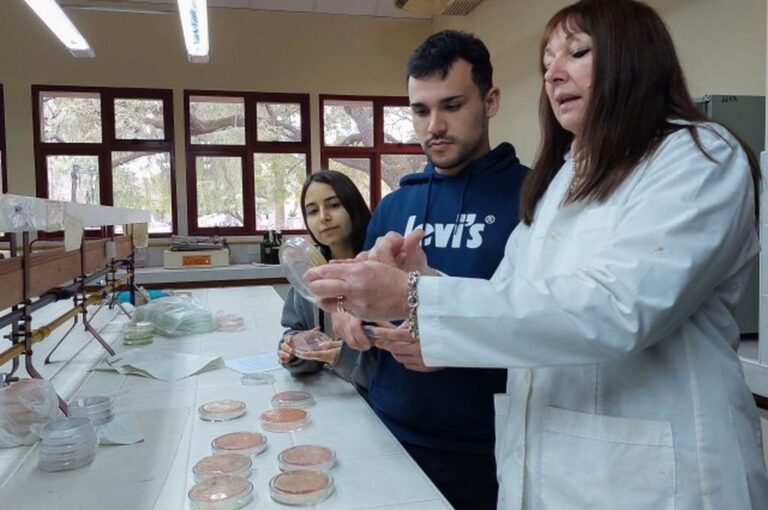Las especies que integran la familia de las leguminosas