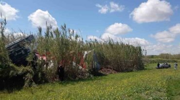 El camión terminó entre los pastizales.