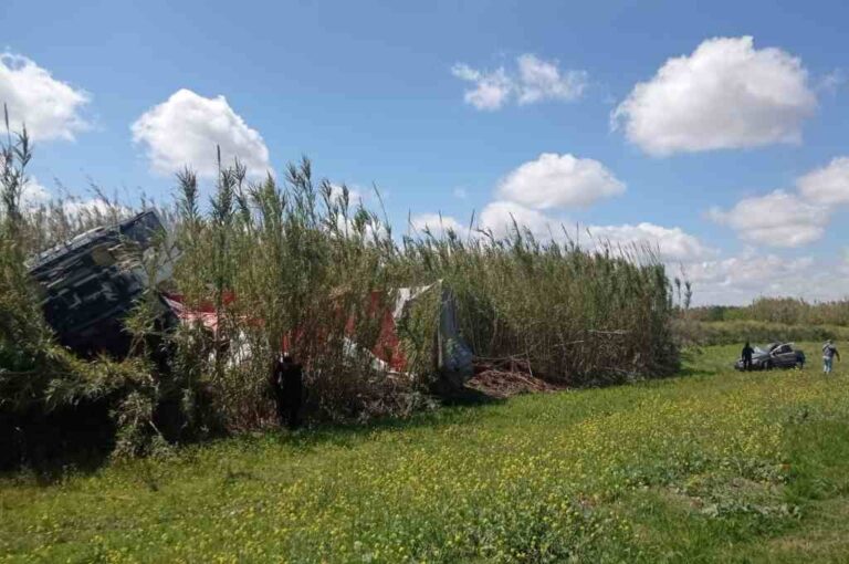 El camión terminó entre los pastizales.