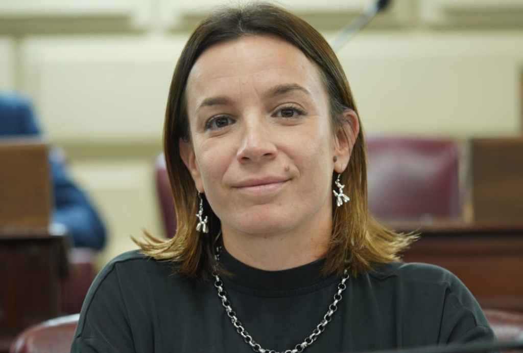 El proyecto fue presentado por la diputada De Ponti. Archivo.