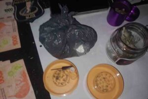 Parte del material incautado por los agentes. Gentileza.