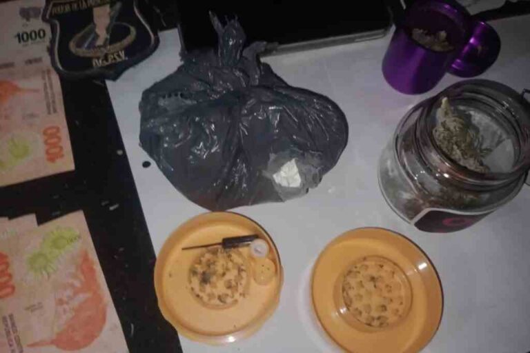 Parte del material incautado por los agentes. Gentileza.
