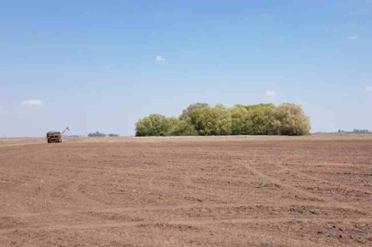 Los productores agropecuarios aseguran que el panorama sigue siendo poco alentador. Archivo.