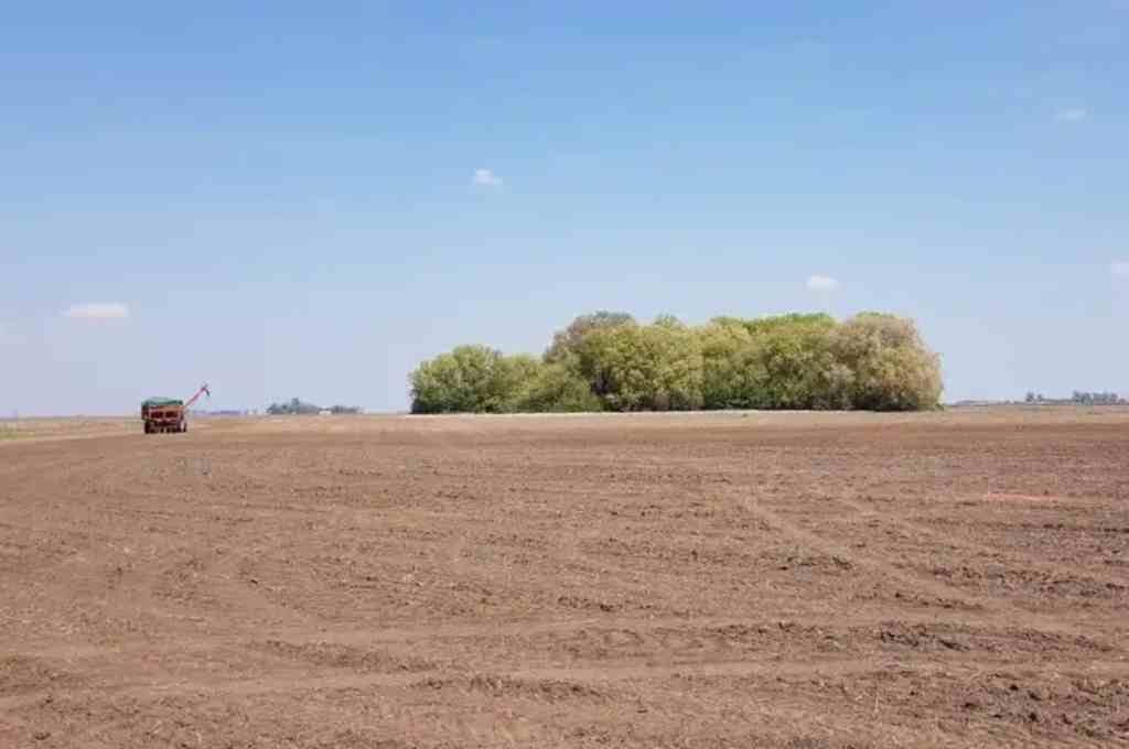 Los productores agropecuarios aseguran que el panorama sigue siendo poco alentador. Archivo.
